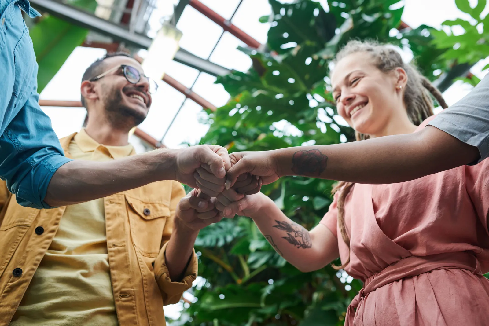Three people laughing as they bump fists together under a glass roof full of plants